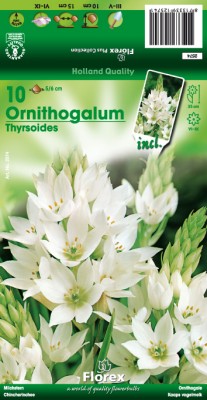 Zomerbollen en vaste planten Diverse soorten Zuidenwindlelie Ornithogalum per 10 Zuidenwindlelie Ornithogalum per 10 (a6290) Zomerbollen en vaste planten Diverse soorten Zuidenwindlelie Ornithogalum per 10 Zuidenwindlelie Ornithogalum per 10 (a6290)